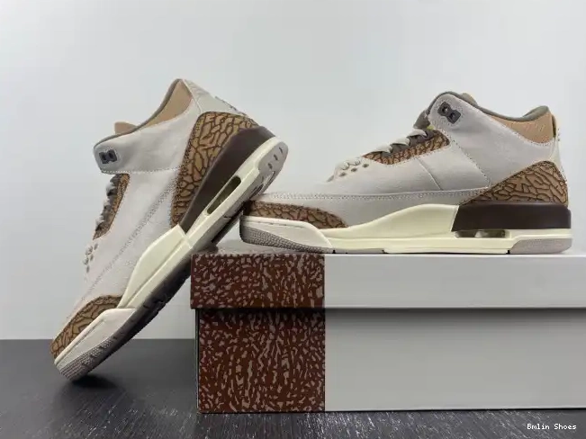 Bmlin Shoes CT8532-102 Palomino Jordan Air 3 0615